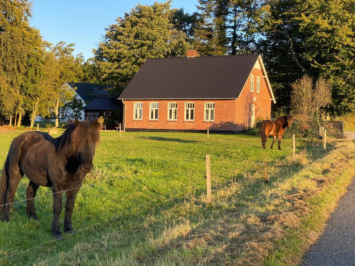 Villa Hyggelig Aftaegtsbolig I Hjertet Af Sonderjylland Branderup Exterior foto